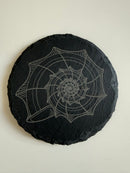 Nautilus Shell Slate Coaster